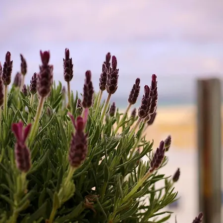Apartment Cozy House - Penthouse Humero 270º Tarifa