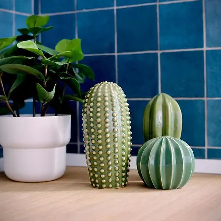 Cozy House - Penthouse Humero 270º Apartament *